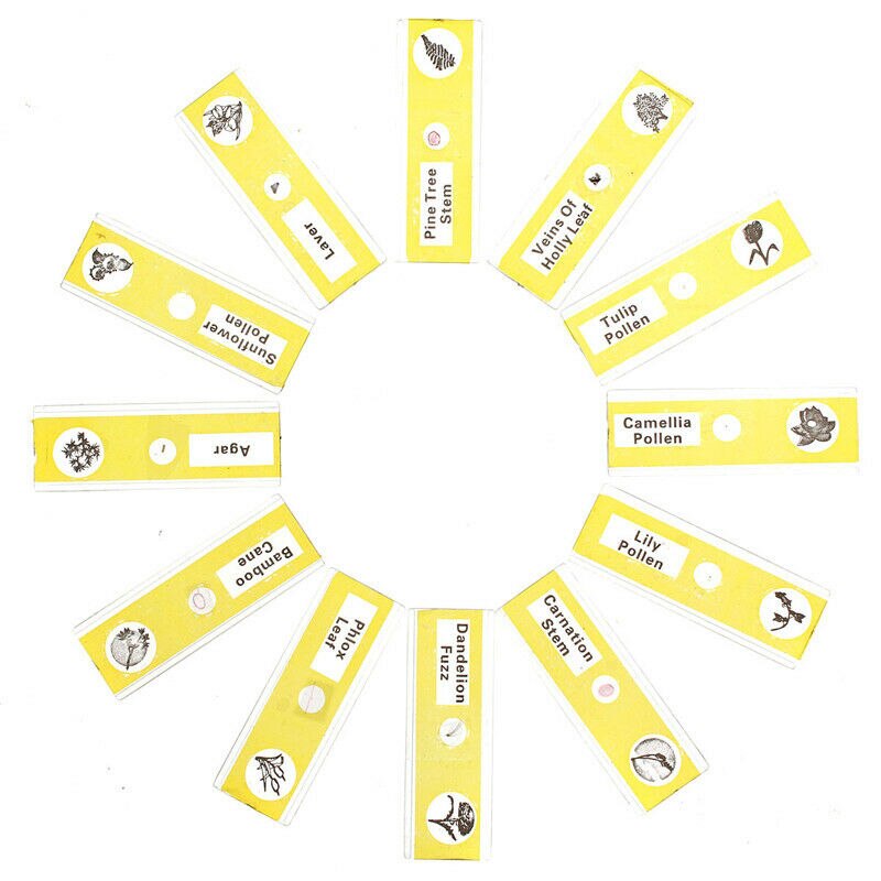12/48Pcs/Set Prepared Microscope Slides Specimen Animals Insects Plants Flowers Sample: Yellow