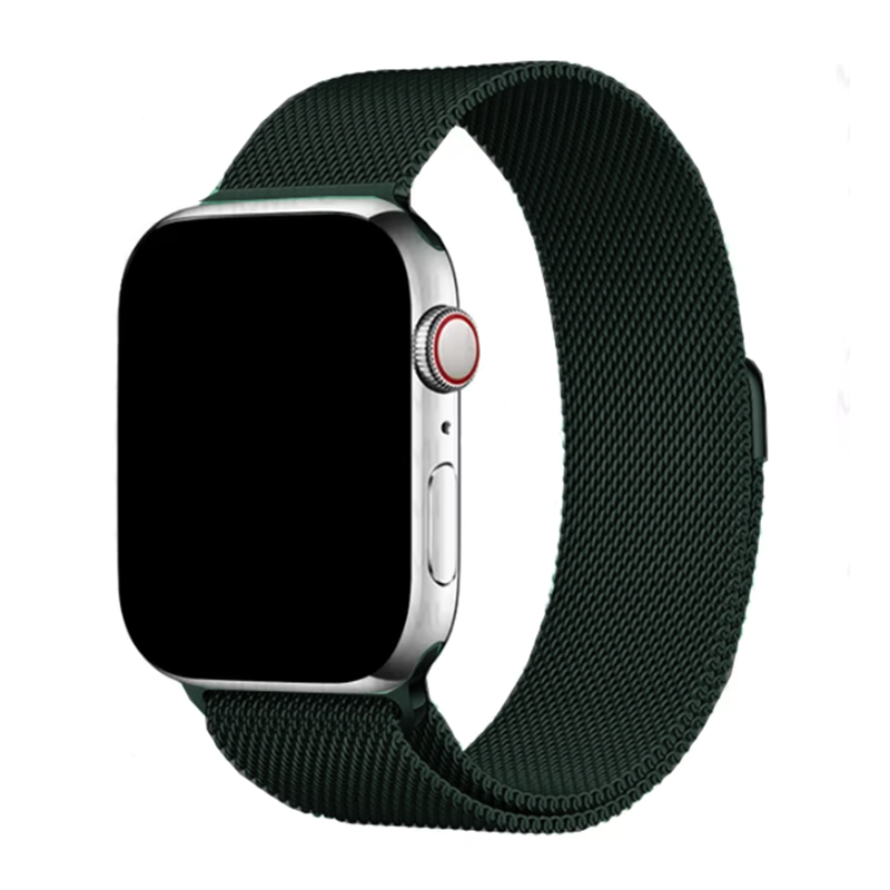 Milanese Loop Strap For Apple Watch Band 46mm 49mm 44mm 40mm 45mm 41mm Metal Classic Bracelet iWatch Series 10 4 5 6 7 8 9 Ultra: Purple Green / 14mm