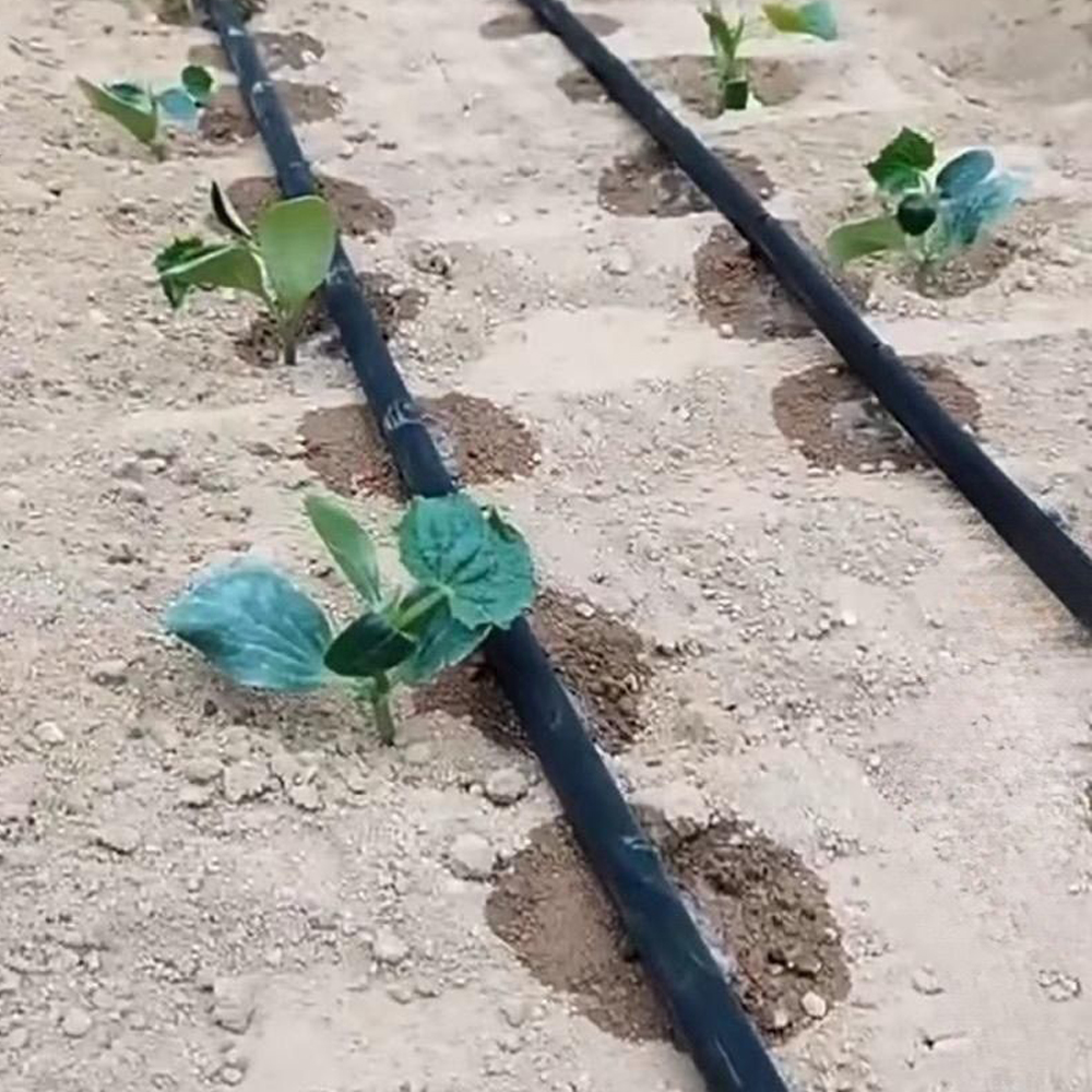Fita de irrigação por gotejamento, 16mm, filme de gotejamento agrícola para irrigação de árvores frutíferas, micro spray, conta-gotas, 30m