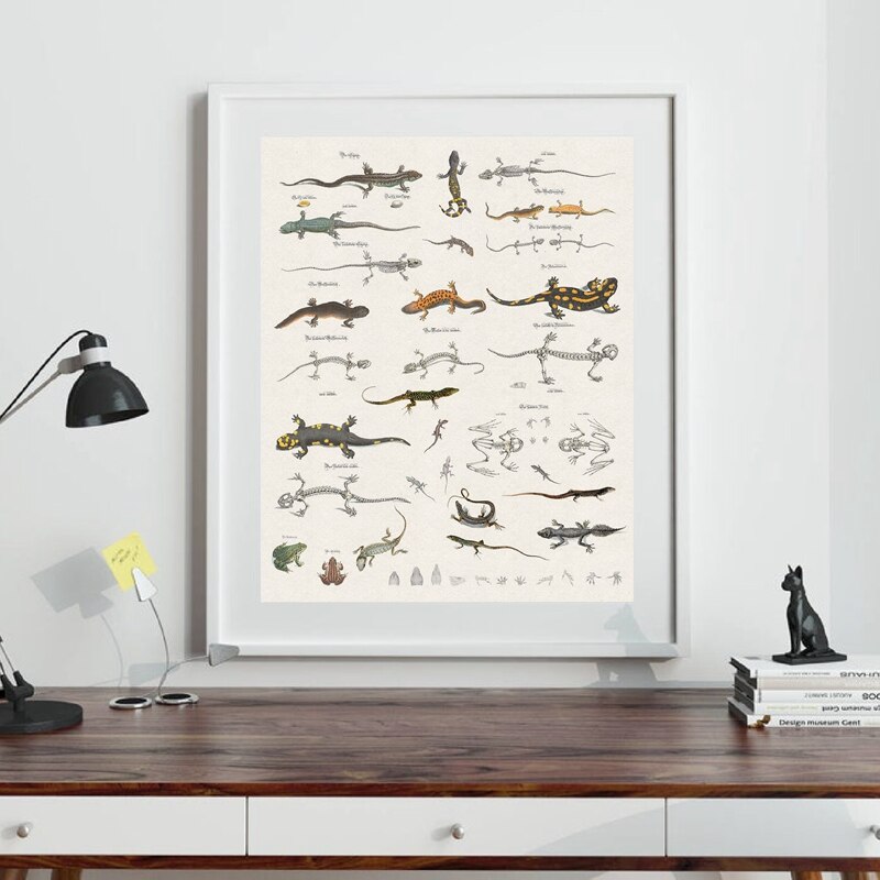 Hagedis Grafiek Prints Reptielen Natuurlijke Geschiedenis Educatief Poster Klaslokaal Decor Dier Zoölogie Poster Kraftpapier