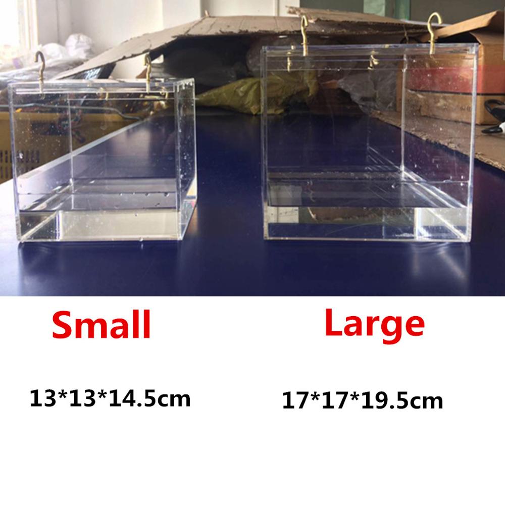 Jaula acrílica espaciosa transparente de la casa del baño para los loros del Pájaro de las mascotas: large