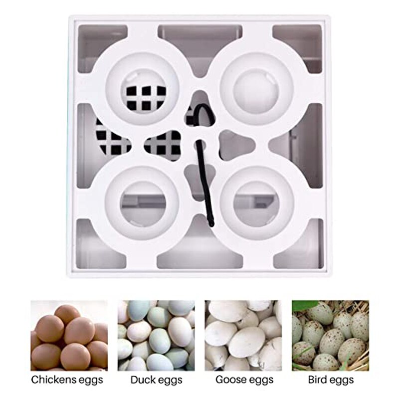 4 kpl munahautomo hautomo mini digitaalinen lämpötila brooder farm brooder viiriäinen muna hautomo hautomo laitteet lapsille