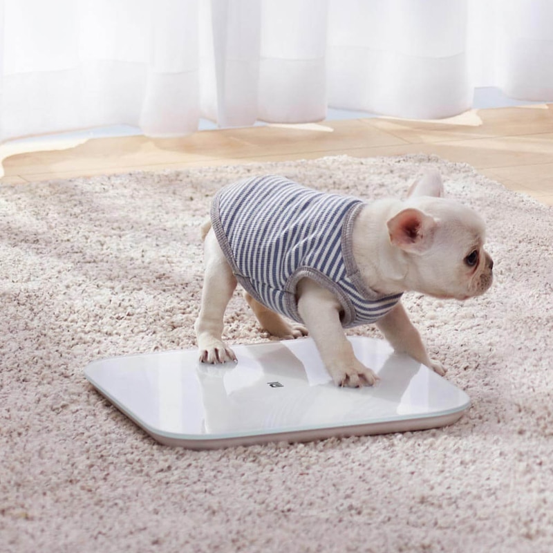 Alkuperäinen xiaomi smart scale 2 sukupolven terveysvaaka bluetooth 5.0 digitaalinen vaaka tuki android 4.3 ios 9 mifit sovellus
