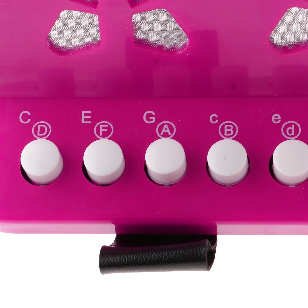 7 nappia basso haitari soitin kosketin haitarit opetuslelu lasten musiikki-instrumentti lapsille lahja lapsille avain harmonikka