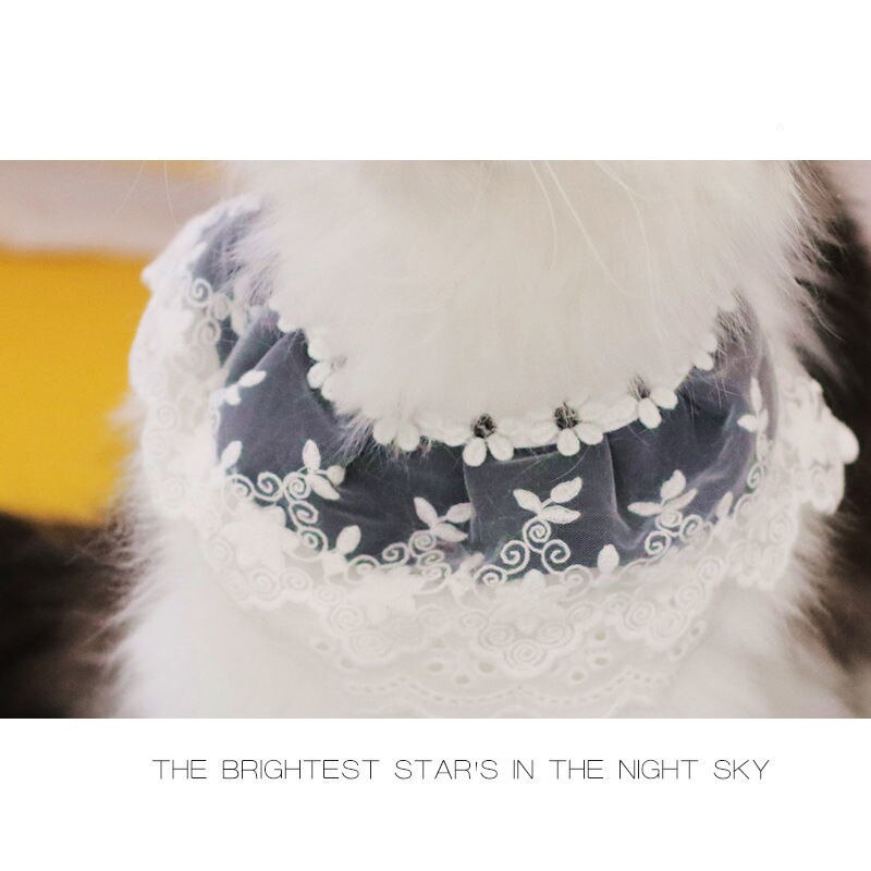 Sciarpa per animali domestici bavaglino in pizzo per gatti cucciolo sciarpa per collo di gatto turbante sciarpa per colletto grande sciarpa per turbante cappotto accessori per cani pettinare