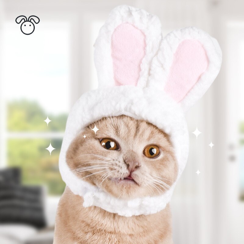 Peluca de gato de melena de León, sombrero para cachorro y gato, accesorio de decoración para mascota, gorro de pelo de lujo, gorro de Orejas de conejo y oso