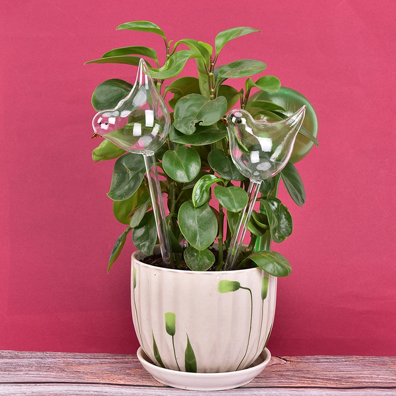 1 stk plante selvvandende klode planter vandløg fugleform klart glasvandingsapparat