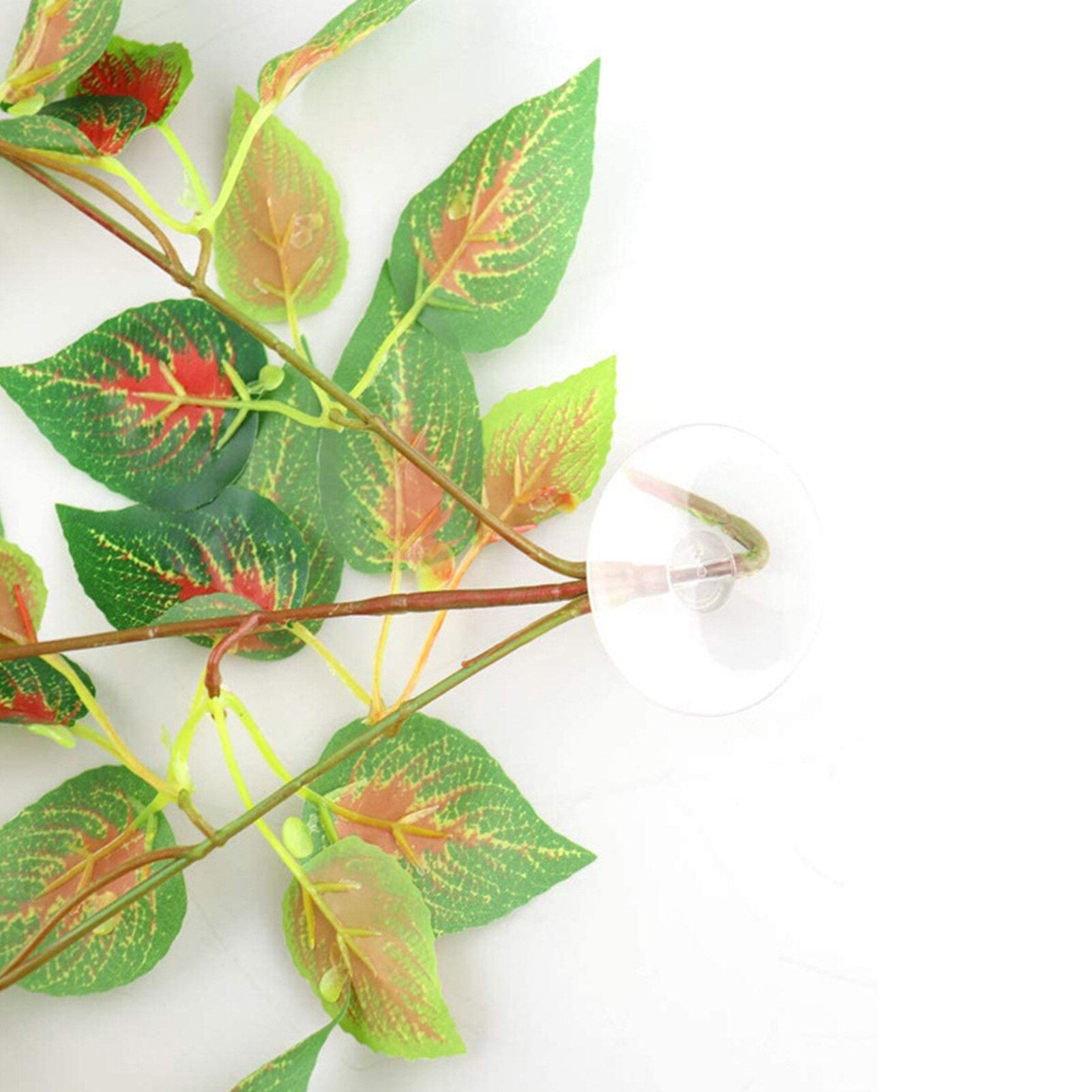 Reptile Plants Terrarium Artificial Silk Reptile Plants With Suction Cups Decoration Of Bearded Dragons Lizards Geckos Ingenious