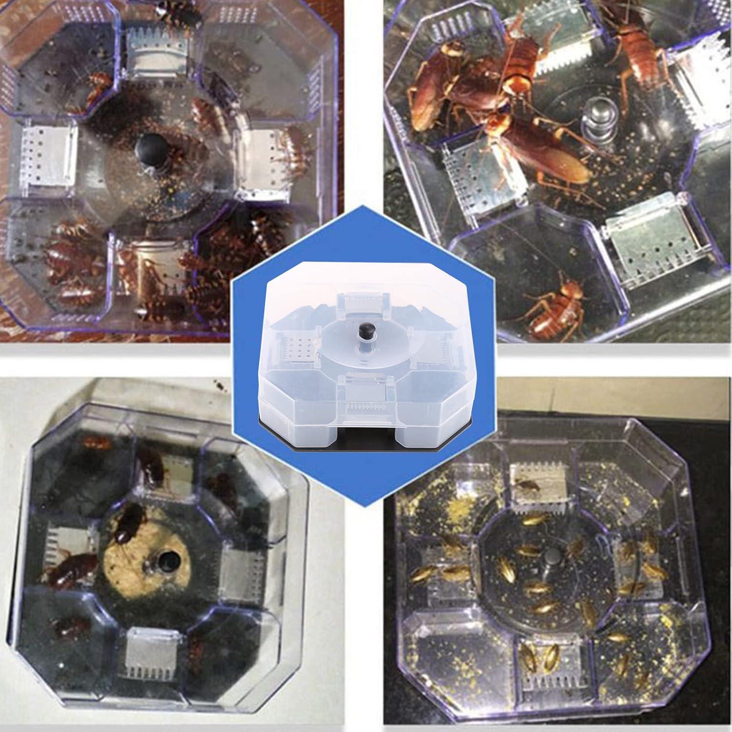 Cockroach Trap Bug Catching Tool Cockroach Box Home Indoor Kitchen Safety Physical Bug Size Pass Kill Trap Trap