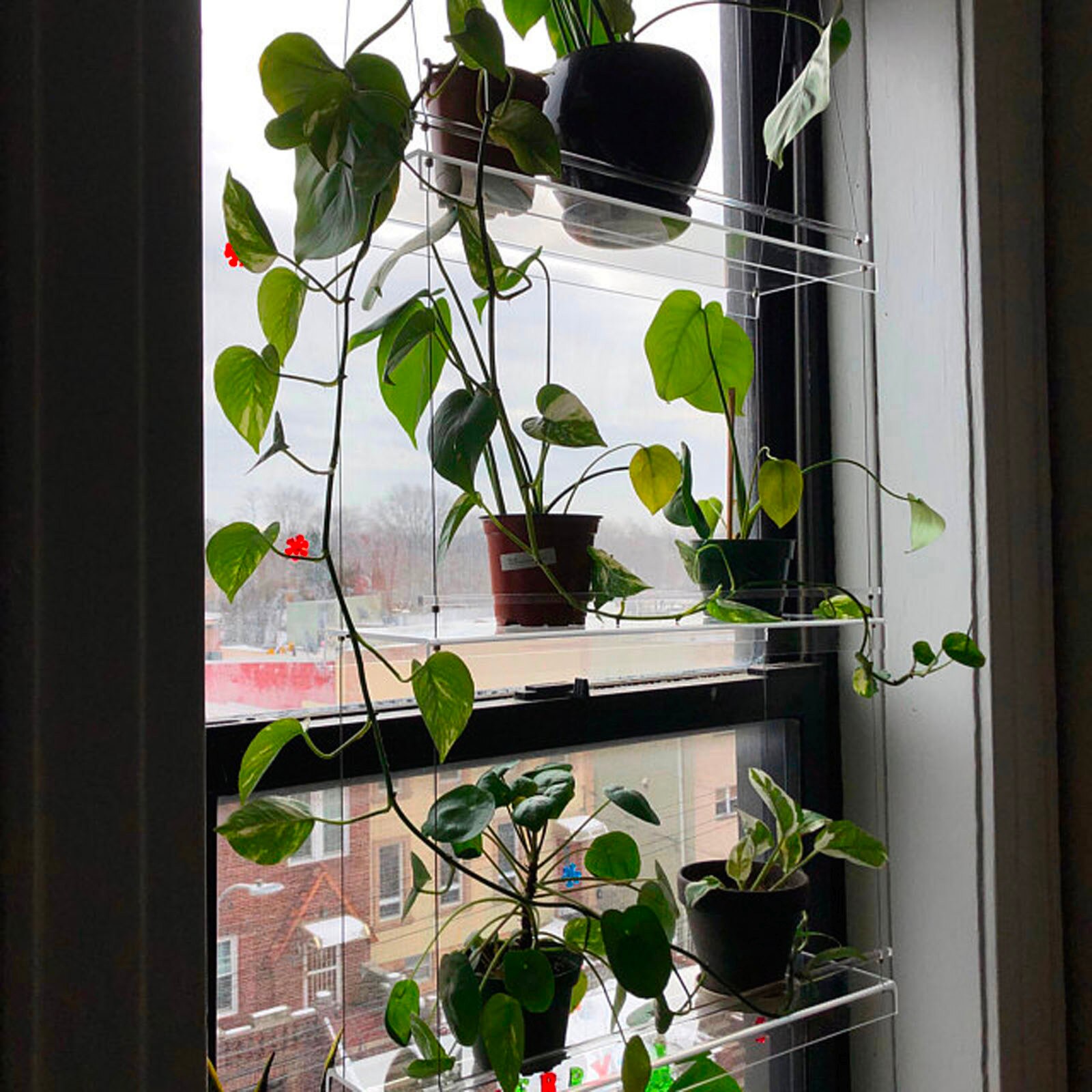 Étagère suspendue pour plantes à fenêtre, présentoir de pots de fleurs, bonsaï, support de rangement de décoration intérieure de jardin, décoration de salle de maison