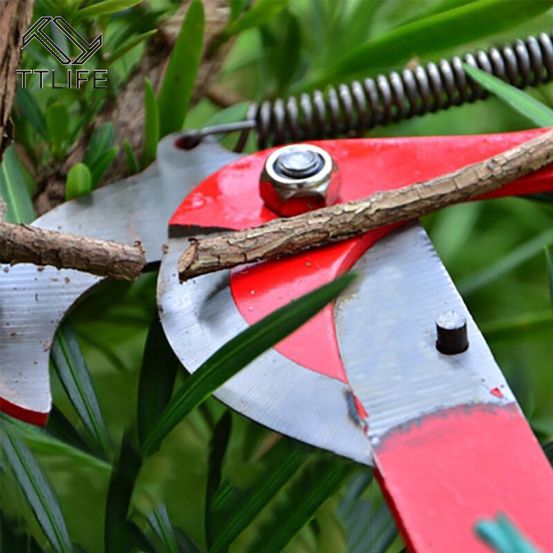 Grote Hoogte Snoeischaar Boom Trimmer Takken Cutter Tuin Snoeien Schaar Pick Fruit Tool Met Touw Nuttig Shear Snoeien