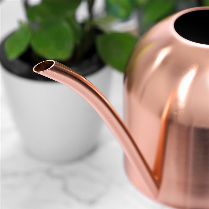 Yardwe-regadera de acero inoxidable de 1000ml para plantas de interior, suculentas, surtidor largo, maceta de riego para el hogar, jardín y oficina (cobre)
