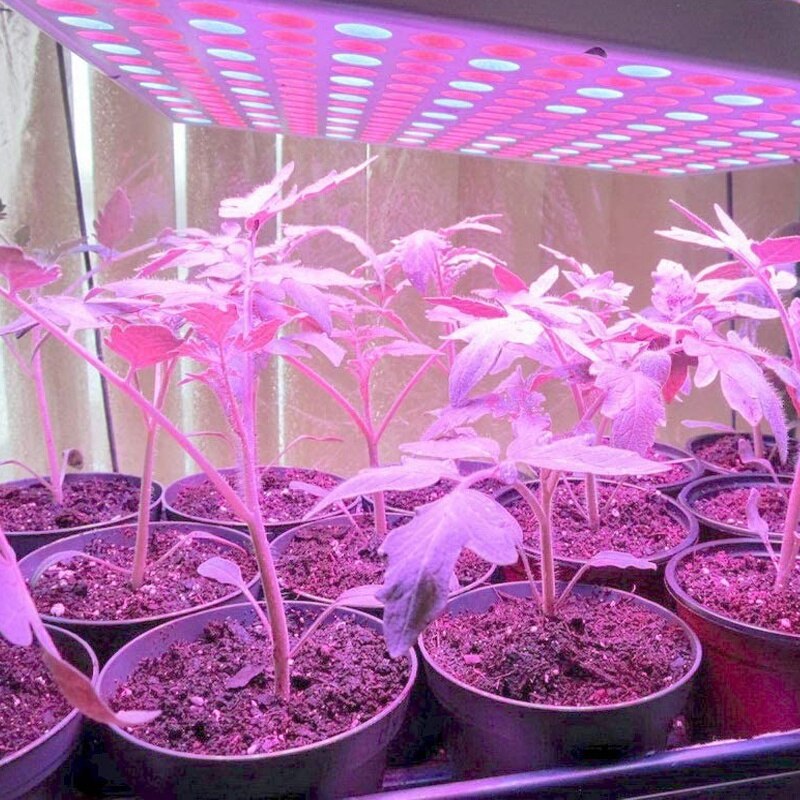 100Pcs 16cm Plastic Flower Seedlings Nursery Supplies Planter Pot/Pots Containers Seed Starting Pots Planting Pots