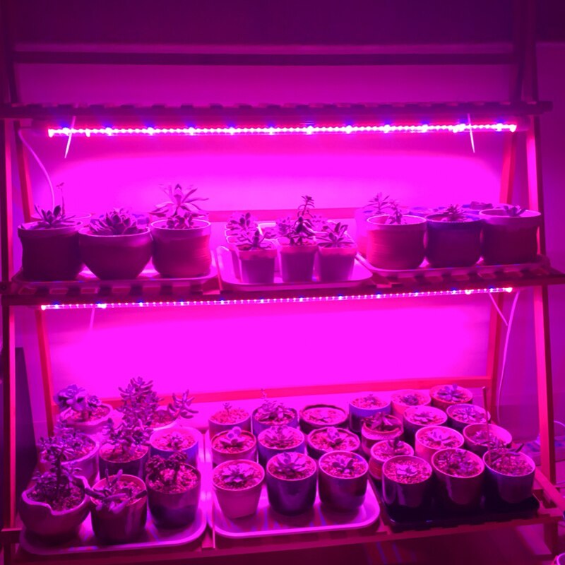 5Pcs Led Licht Groeien Volledige Spectrum Phyto Lamp Voor Zaailing Planten Indoor Groeiende Bloei Licht Voor Planten Bloemen Vetplanten