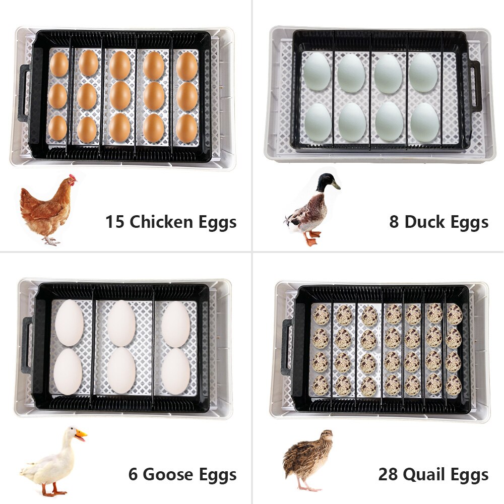Mini incubadora automática de 15 huevos para pollo, Ganso, pájaro, codorniz, equipo de incubación, herramientas de incubación