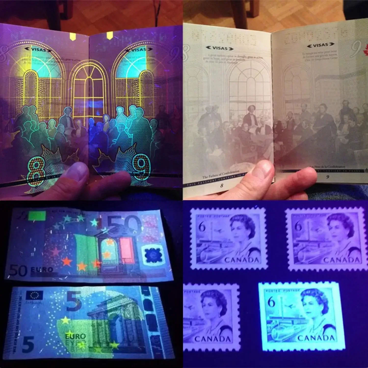 12/21/51 LED tragbare UV-Taschenlampe, Schwarzlicht, UV-Taschenlampe, Schwarzlicht-Detektor für Hundeurin, Haustierflecken und Bettwanzen