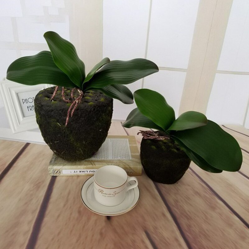 1pc ægte berøring phalaenopsis blad kunstige planter blad dekorative blomster hjælpemateriale blomst dekoration orkidé blade