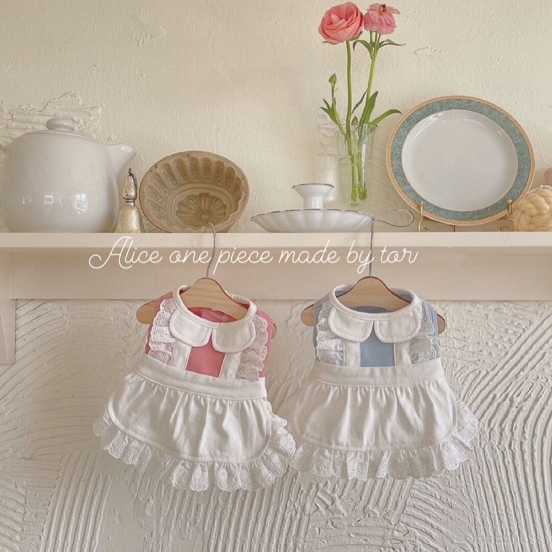 Haustier Hund Kleidung Rosa Blau Dienstmädchen Spitze Kleid mit Gleichen Stil Haarnadel Für Kleine Hund, Chihuahua,Yorkshire, malteser, Haustier Liefert Perros