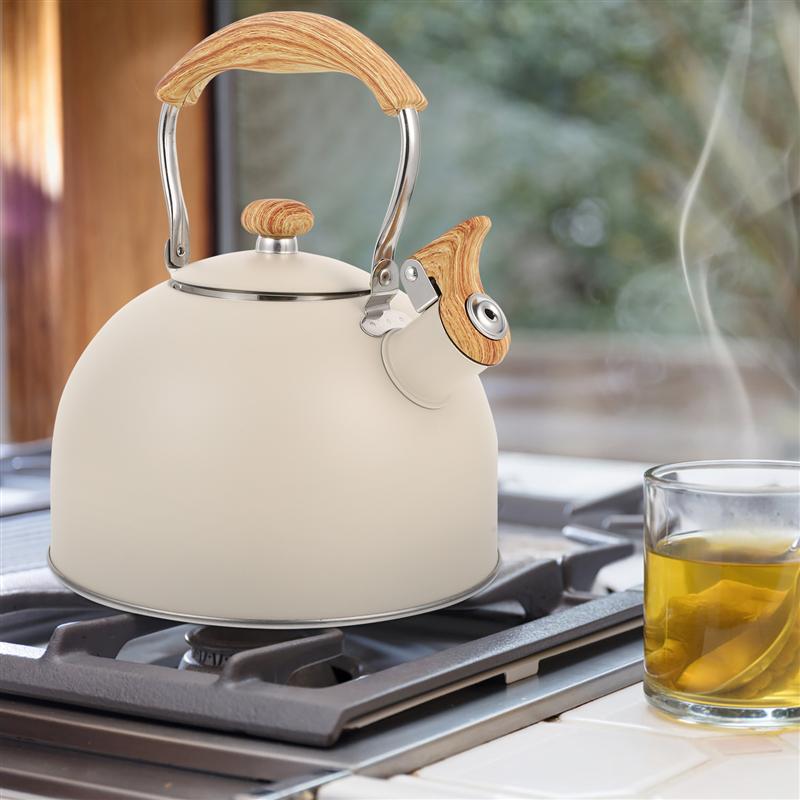 Bouilloire sifflante en acier inoxydable, 2,5 l, à fond plat, pour les cuisinières à gaz à Induction, ustensiles de cuisine