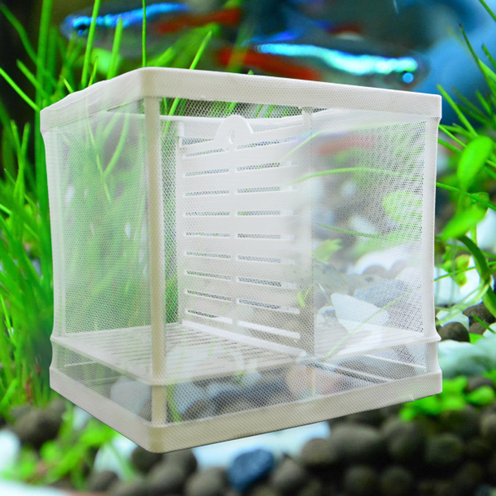 Aquarium Broederij Aquarium Incubator Net Met Zuignap Vis Isolatie Fokken Netto Doos Voor Baby Vissen Clownvis Guppy Wit