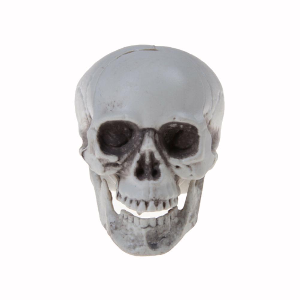 Statues Sculptures Halloween Decorations Artificial Plastic Bone Party Horror Skull Head Ornament Model Bar Skull Scary Ske L1R8