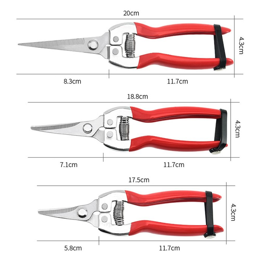 Tijeras para floristería, herramienta para podar árboles, podadora manual de jardinería, tijeras de jardín, recortadora de hojas, tijeras de podar rectas con micropunta, 1 Uds.