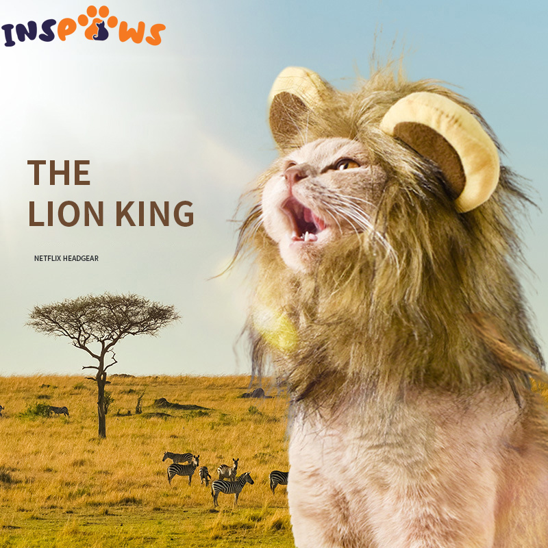 Peluca de gato de melena de León, sombrero para cachorro y gato, accesorio de decoración para mascota, gorro de pelo de lujo, gorro de Orejas de conejo y oso