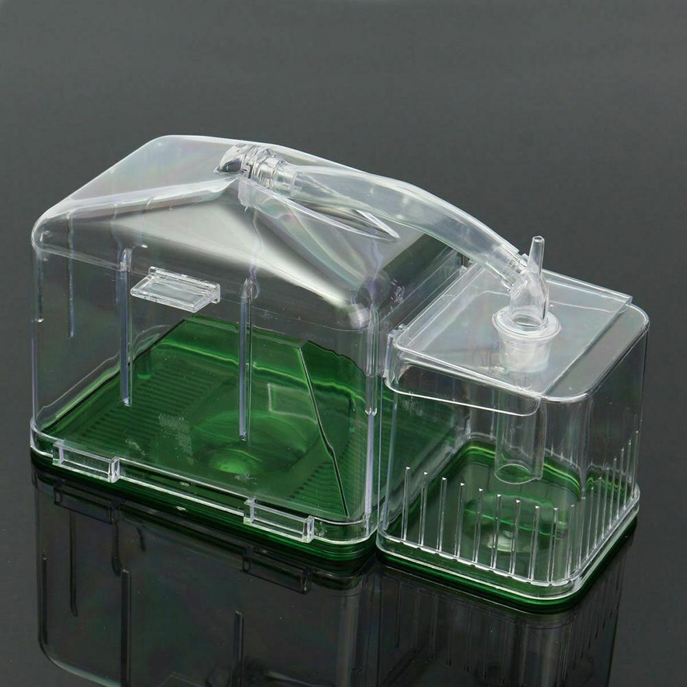 Fish Tank Breeding Isolation Box Aquarium Hatchery Incubator Holder Hatchery Transparent Guppies Aquarium Accessories