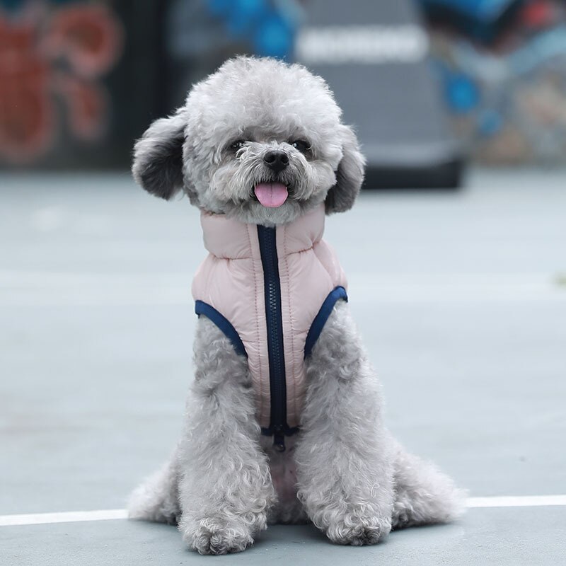 Puppy Hond Vest Dubbelzijdig Dragen Kleding Teddy Warme Katoenen Jas Huisdier Kleding Herfst Winter Leisure Vier-Legged Kleding