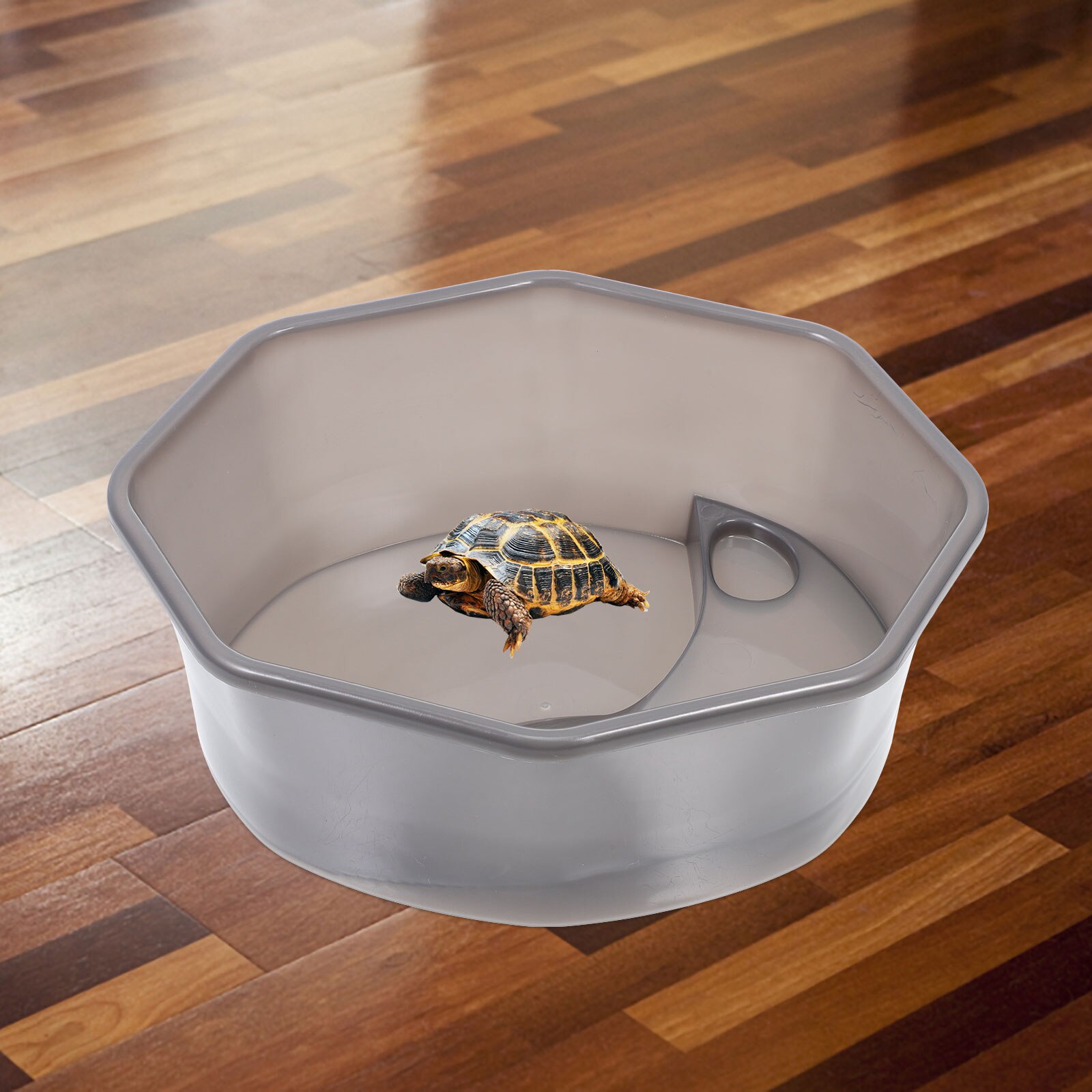 Household Tortoise Tank Semi-transparent Turtle Cage Plastic Reptile Tank Reptile Accessory