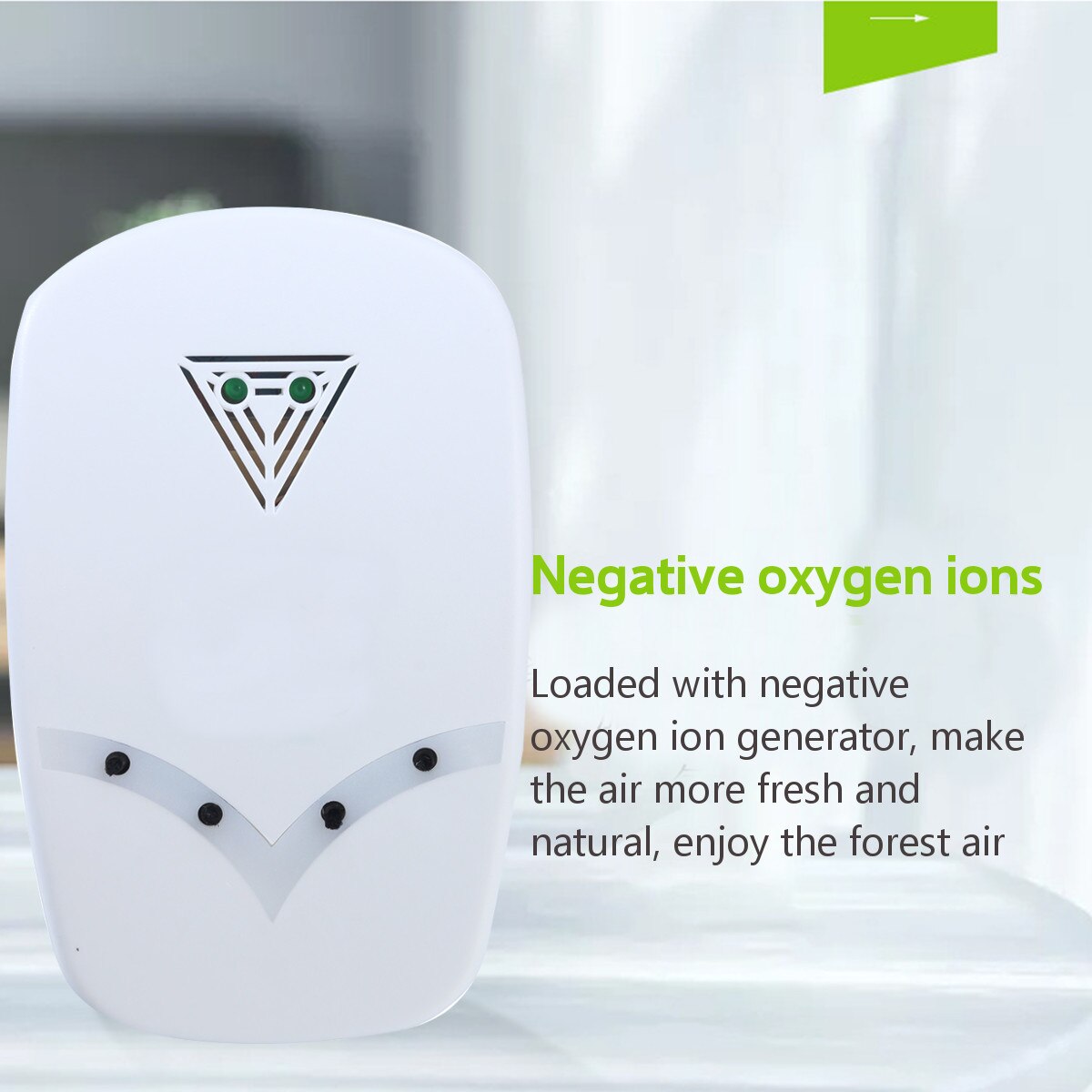 Générateur d'Ozone OZONEGENERATOR Silver 4000 mg/h - pour les vétérinaires