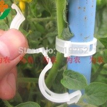 50 stks Duurzaam Plastic Sling Clips Sluiting Plant Wijnstokken Tomaat Fix Snap Joint Groente Bush Rank Bindmiddel Landbouw Clip