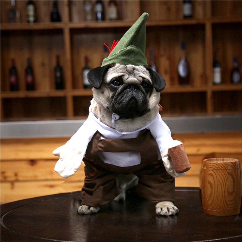 Barman øl tjener kat kostume med hat cosplay jakkesæt til kæledyr sjovt kat tøj tøj halloween kostume vetement chat s-xl