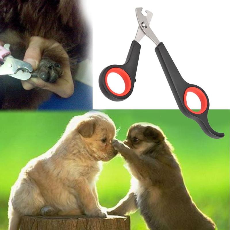 Kæledyr hund katte fugl tå klo saks klipper rustfrit stål pleje negle klipper saks hund negle trimmer klip negle 5 farve