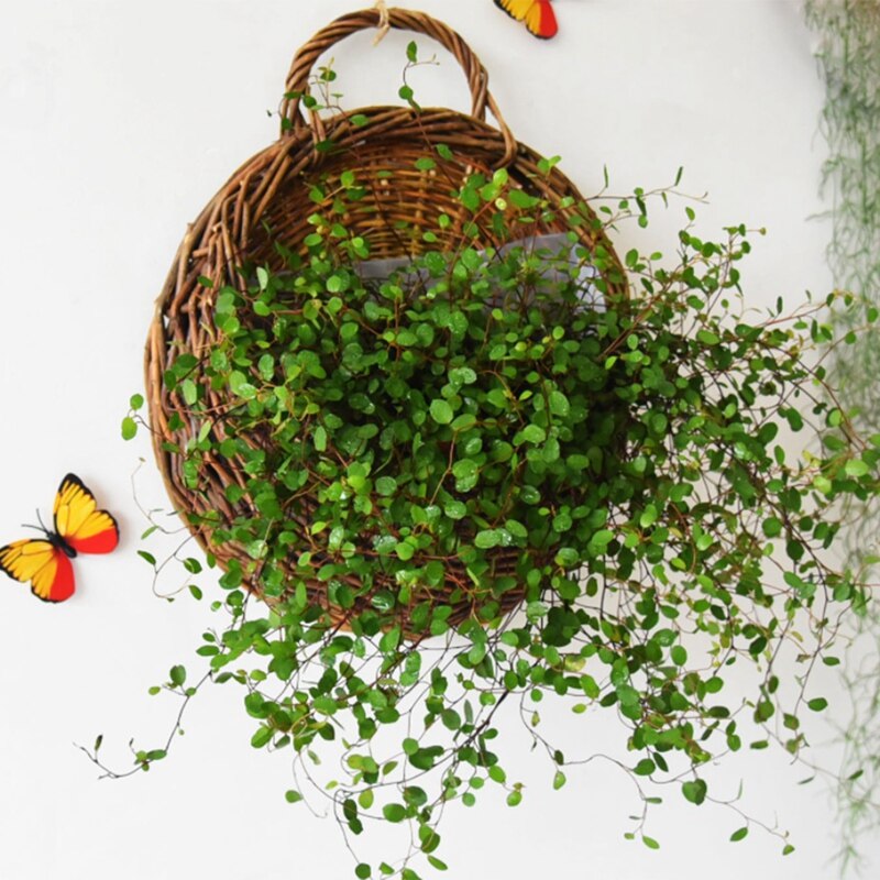 Handmade Rattan Hanging Basket Natural Wicker Hanging Storage Basket for Home Garden Wedding Wall Decoration