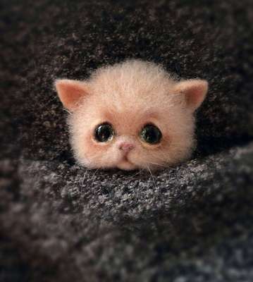 Diy Dieren Broche Vos Hond Kat Wol Naaldvilten Materiaal Pakket Wolvilt Craft Poke Set Handwerk: 01