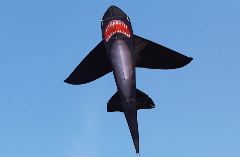 Cerf-volant de requin noir robuste, longue queue colorée, énorme kit pour débutant, pour enfants et adultes, livré avec ficelle et poignée