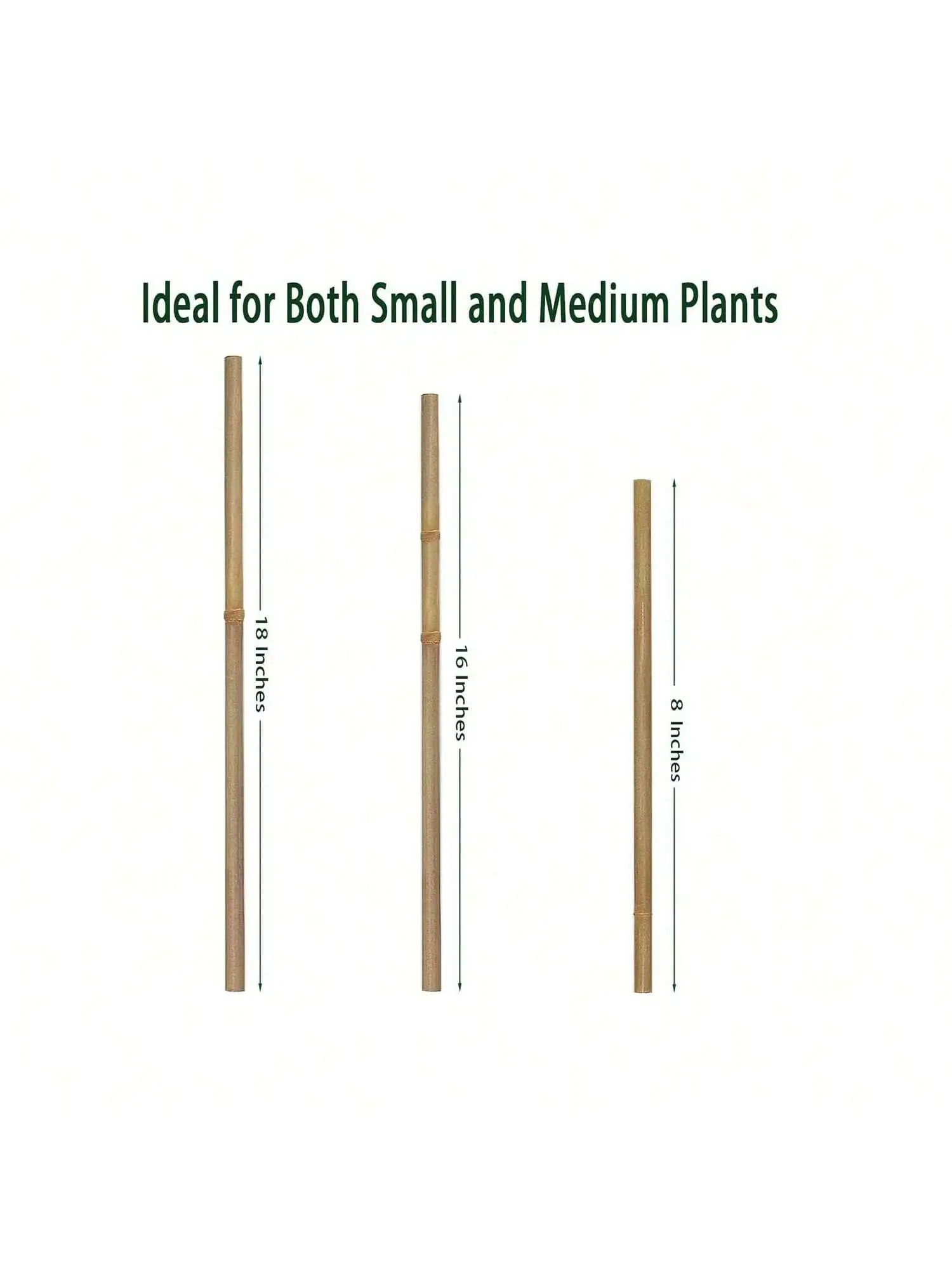 Piquets en bois de jardin en bambou, plantes en bambou écologiques, piquets en bois, plantes grimpantes, bâtons en bambou: 4XL / Or