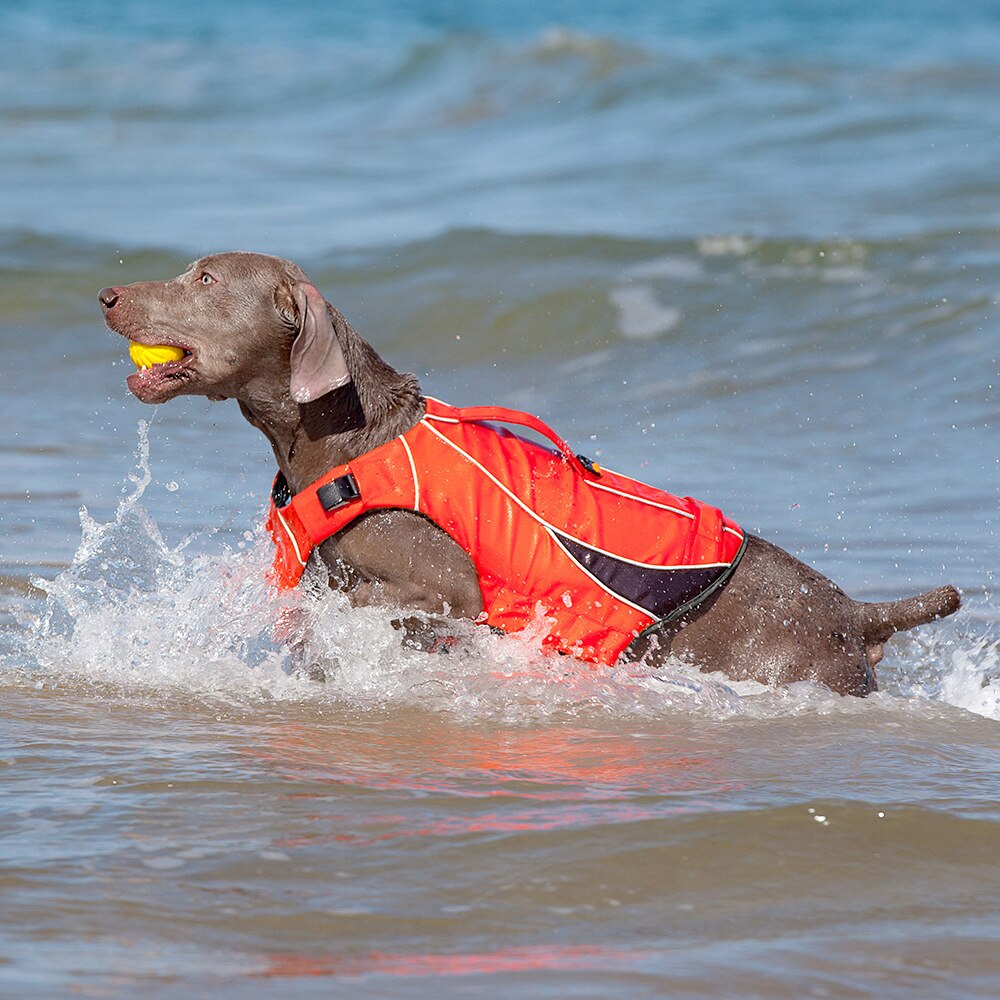 Dog Life Vest Jacket Clothes Ropa Perro De Para Harness Pet Arnes Roupa Chaleco Salvavidas Swimming Summer Grande