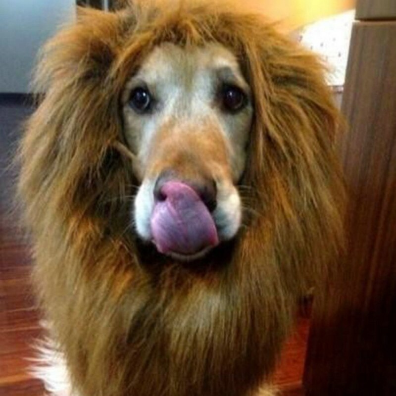 Fancy Hond Accessoires Voor Grote Hond Sjaal Pruik EEN Hond Ras Leeuw Hond Kostuum Grote 80cm