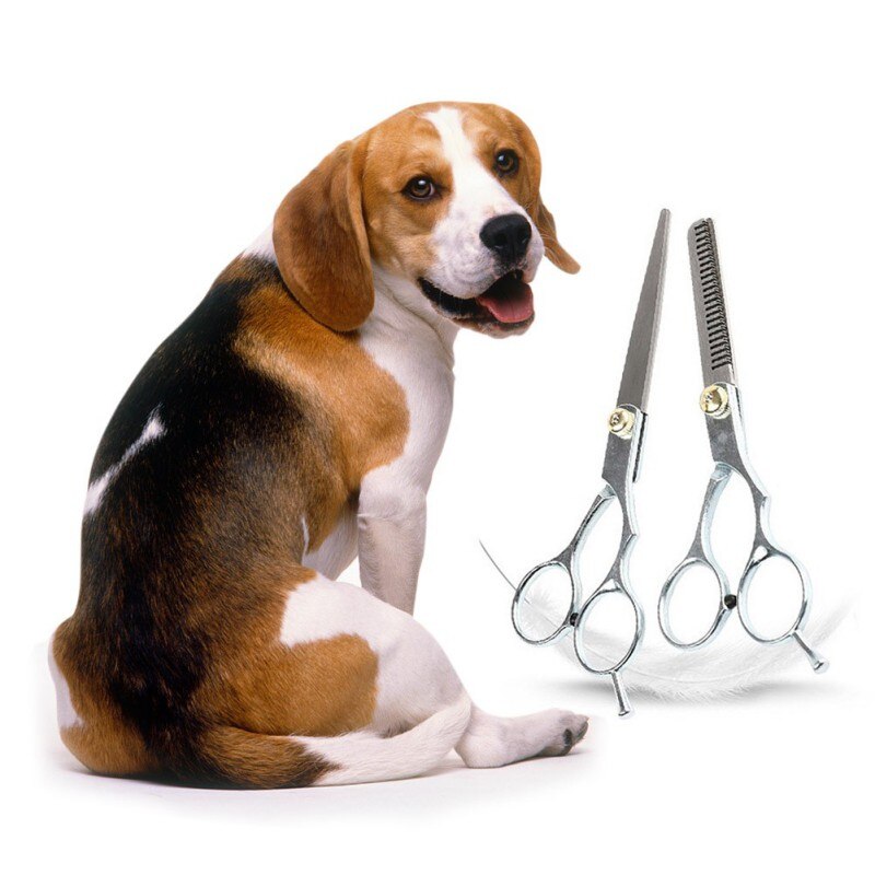 Tijeras de peluquería de gama alta para mascotas tijeras dentales-