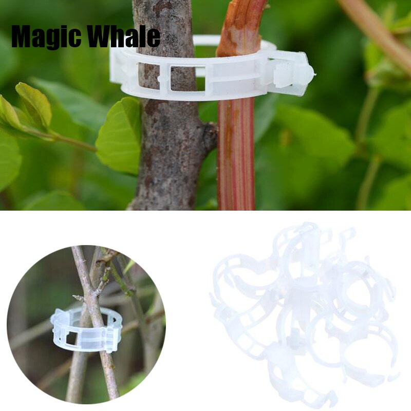 100pc plastik espalier tomat clips støtter forbinder planter vinstokke espalier espalier bure drivhus veggie have plante klip
