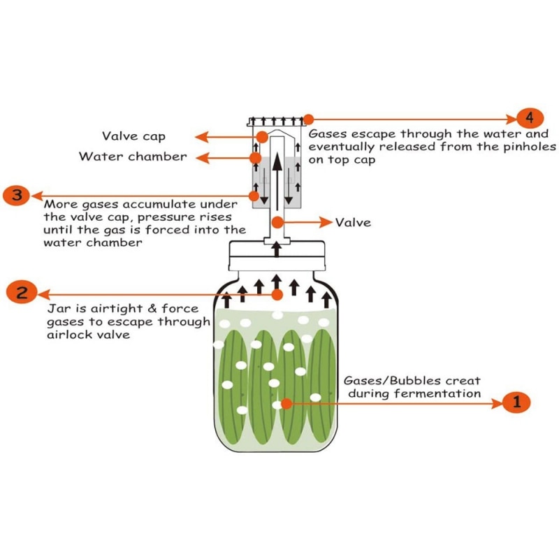 Fermentatieset voor potten met brede mond - watersloten, siliconen ringen, roestvrijstalen deksels voor het fermenteren van potten met brede mond en siliconen