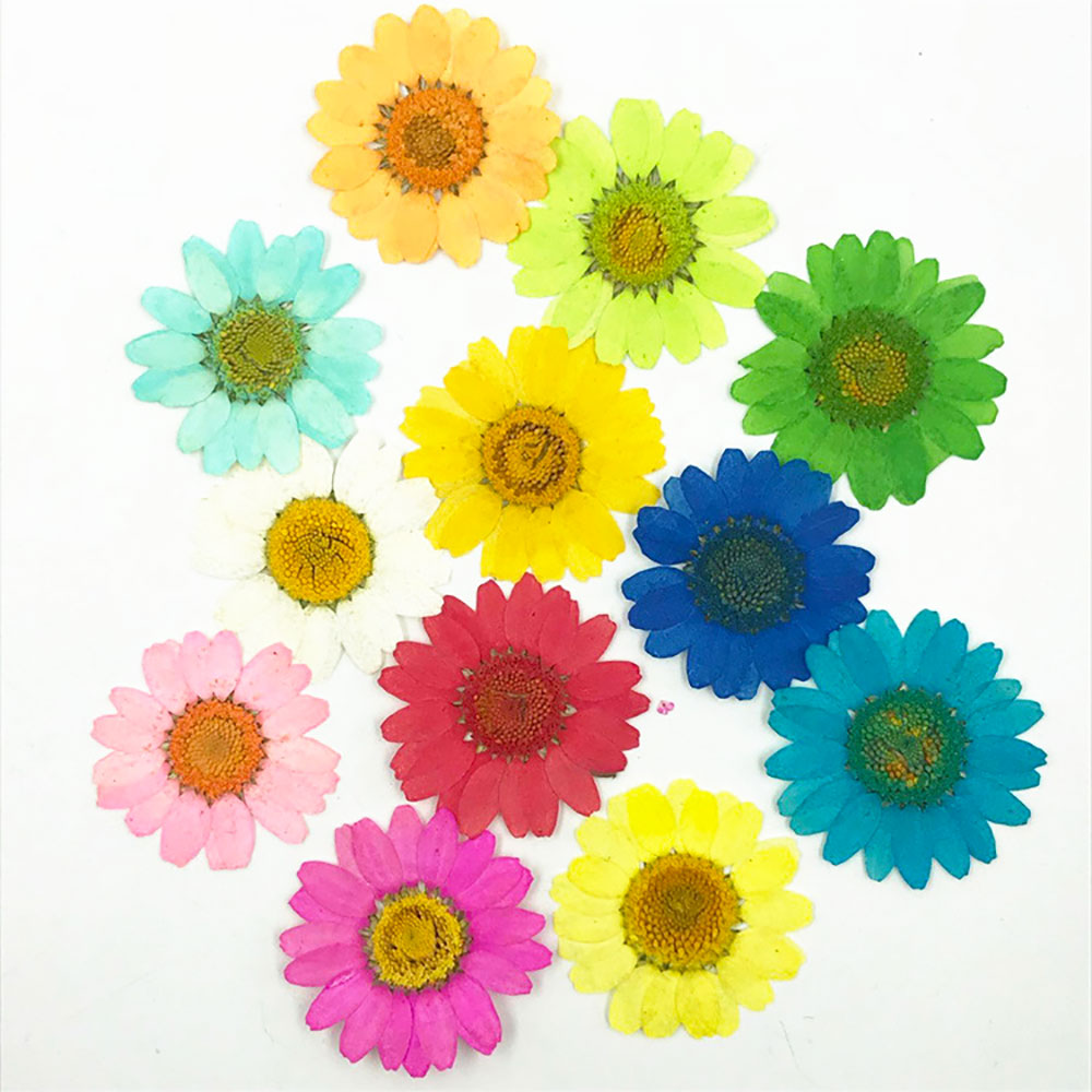 Silicone world Dried Flower Dry Plants For Epoxy Resin Pendant Necklace Jewelry Making Craft DIY Accessories UV Expoxy Flower