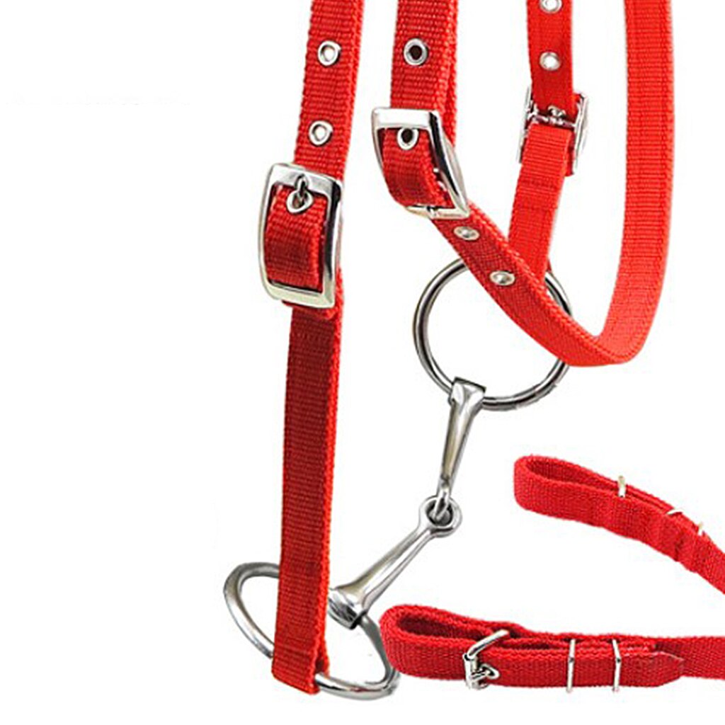 Brida de caballo Rein Headstall Thickened Halter accesorios ecuestres removible Snaffle Nylon cincha equipo de equitación