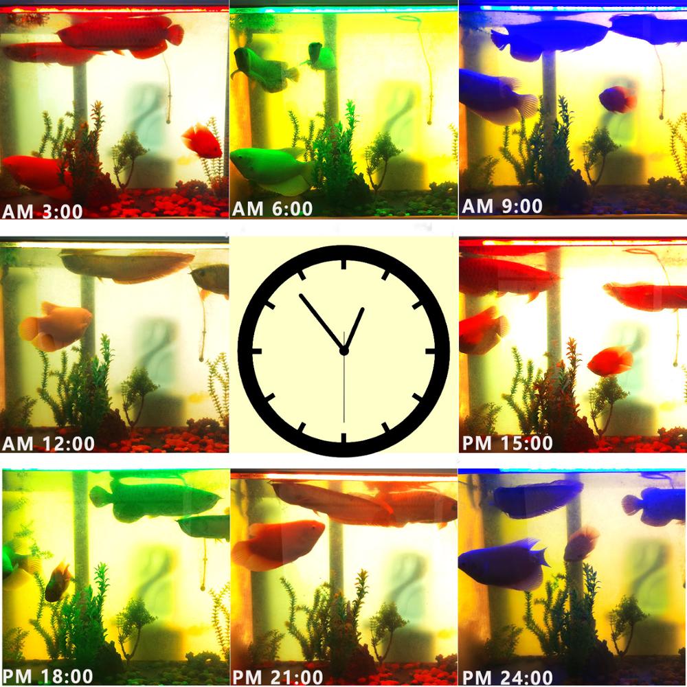 Decration Led Aquarium Verlichting Aquarium Lamp V Grandado 2025-ragbrai-dates-tabby-jenelle
