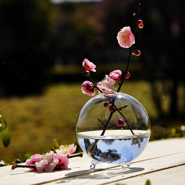 Vase en verre transparent Terrarium | Boule transparente, Pots de plantes, bouteille de réservoir mural, conteneur de fleur hydroponique, décor de jardin pour maison bricolage