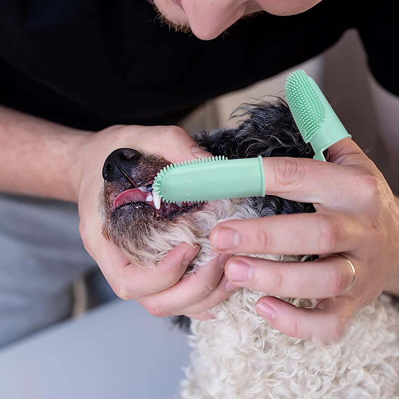 Haustier Finger Zahnbürste Silikon Super weiche Hund Zahnbürsten Zähne Reinigungs werkzeug Mundgeruch Pflege ungiftige Katze Reinigungs mittel