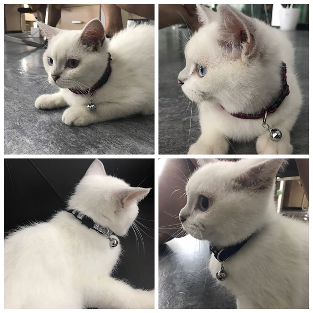 Breakaway Cat Collar with Bell Flea Cat Collar for Cats Cute Cat Collar Pet Product Cat Collar Charm Quick Release Cat Collar