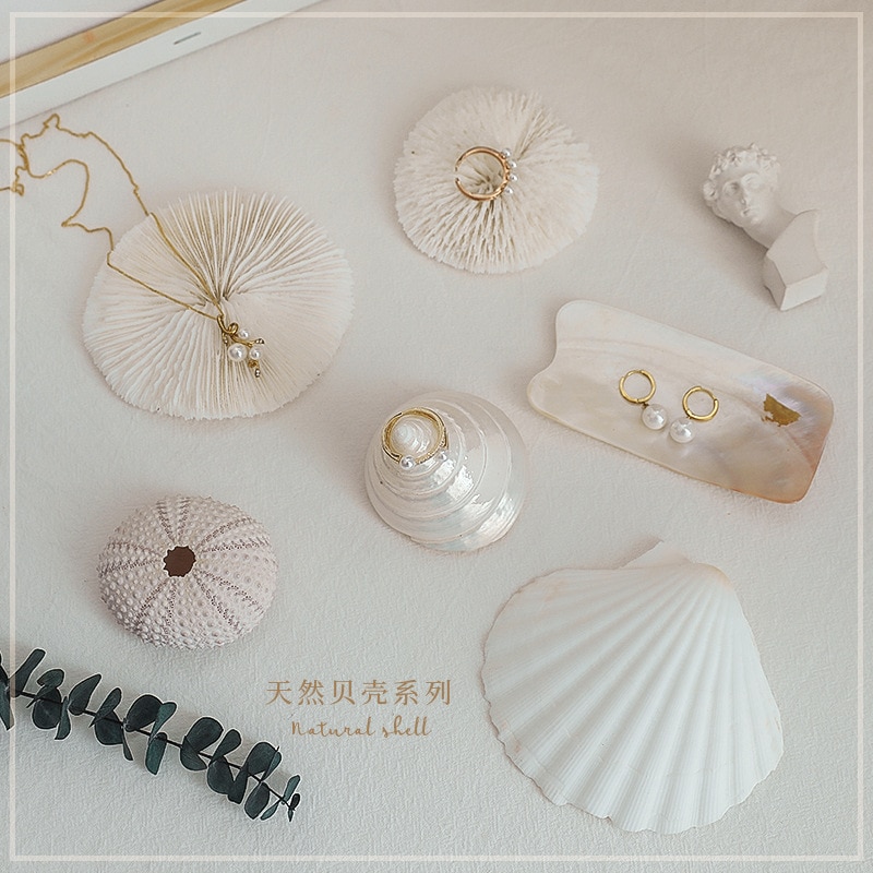 Shell decoration photography accessories photography Retro Props Birthday Party decorations props